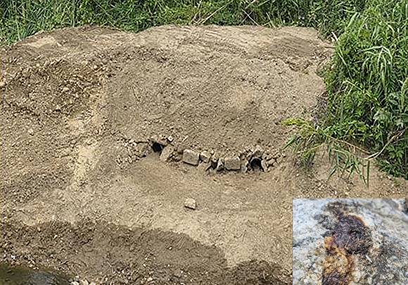 성남 탄천과 동막천 합류 지점에 조성한 수달 서식처(땅속 이동 통로 입구)와 수달 배설물(사진 오른쪽 아래). [사진=성남시]