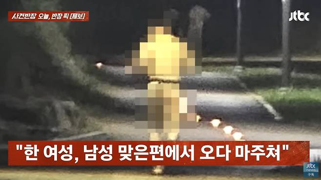 경기 안산시 단원구 화정천에서 한 50대 남성이 알몸으로 러닝하다가 경찰에 체포됐다. /사진=JTBC '사건반장' 캡처