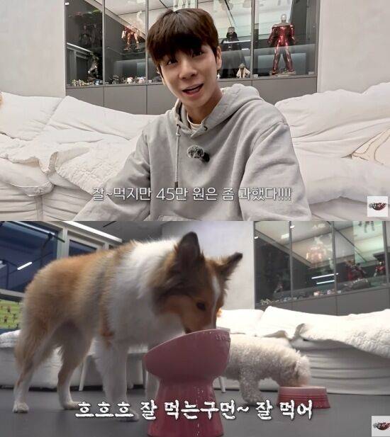 정동원 유튜브 화면 캡처