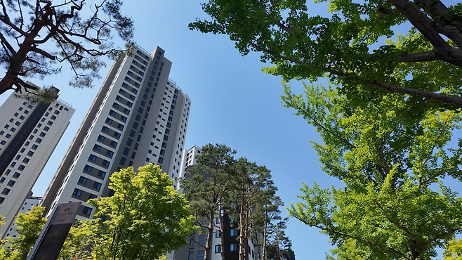 과천 푸르지오써밋 단지 일대. [안경찬 피디]