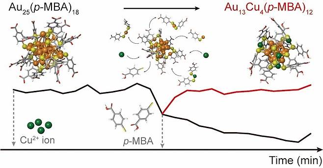 금 나노클러스터에서 합금 나노클러스터로의 분해 및 재조립 과정 모식도.[POSTECH 제공]