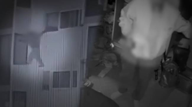 SBS ‘궁금한 이야기 Y’