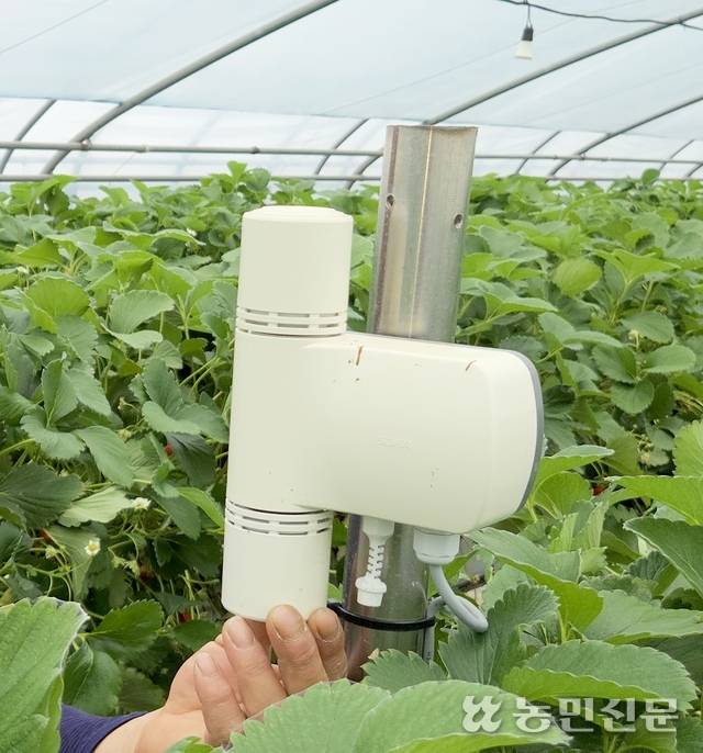 시설하우스 중앙에 설치한 온습도 및 이산화탄소 농도 측정 센서.