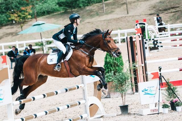 첫 해외 수출 사례인 국산 승용마 ‘케이스타’. 한국마사회