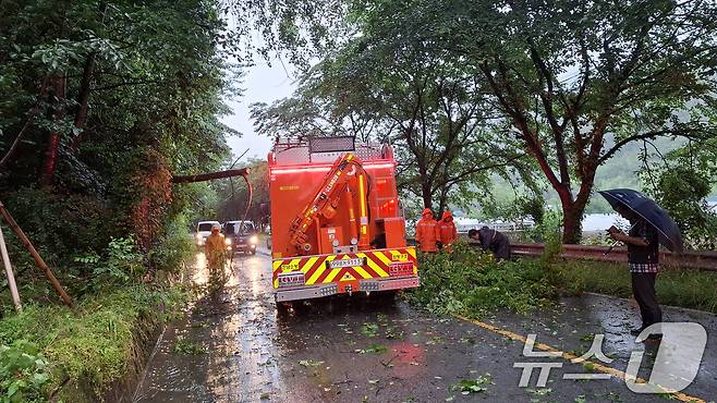 장맛비가 이어지고 있는 21일 오전 6시 40분쯤 함평군 대동면의 한 도로에 나무가 쓰러져 소방당국이 안전조치를 하고 있다. (전남소방 제공. 재판매 및 DB 금지)