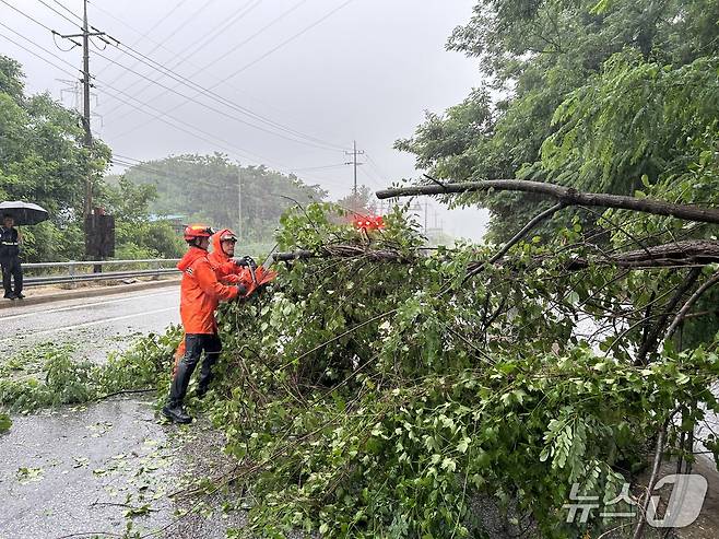 21일 전북 진안군 주천면 한 도로에서 강하고 많은 비로 인해 나무가 쓰러졌다.(전북소방본부 제공. 재판매 및 DB금지)