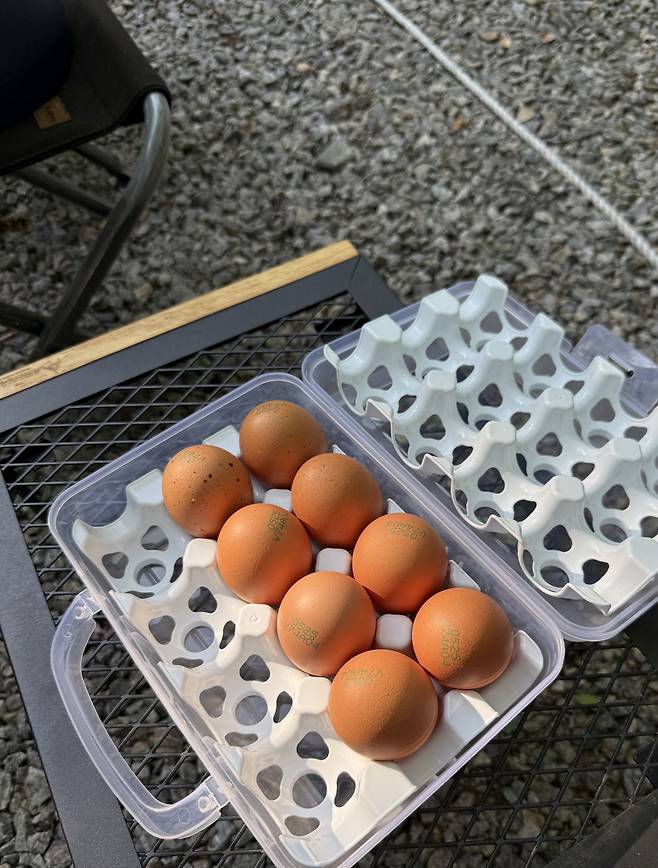 캠핑에 생달걀을 들고 가기 불안하다면 튼튼하고 위생적인 달걀 케이스를 하나 구비하자.