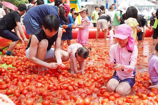 A father and his children search for hidden reward tokens in a pool of tomatoes at the Toechon Tomato Festival. (Courtesy of Gwangju City)