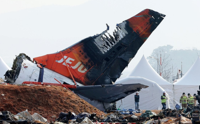 전남 무안국제공항 사고 현장에서 수습 당국 관계자들이 수색 작업을 하는 모습. 연합뉴스