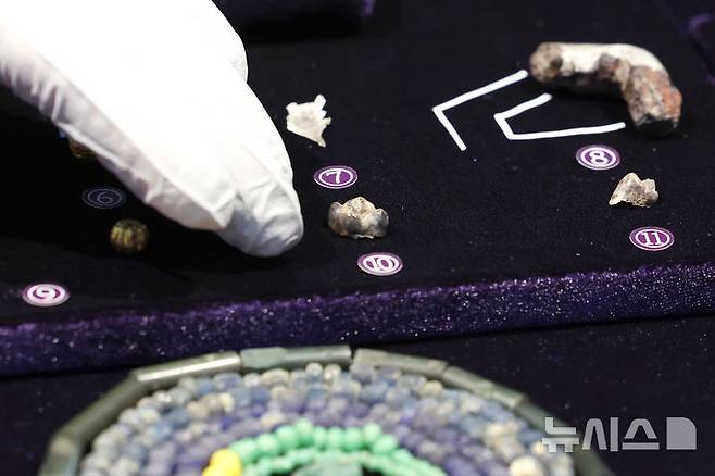[서울=뉴시스] 박진희 기자 =  국가유산청 국립문화유산연구원 국립부여문화유산연구소는 17일 서울 중구 한국의집 민속극장에서 '공주 무령왕릉과 왕릉원' 2호분 출토 어금니(가운데)를 공개하고 있다. 2025.06.17. pak7130@newsis.com