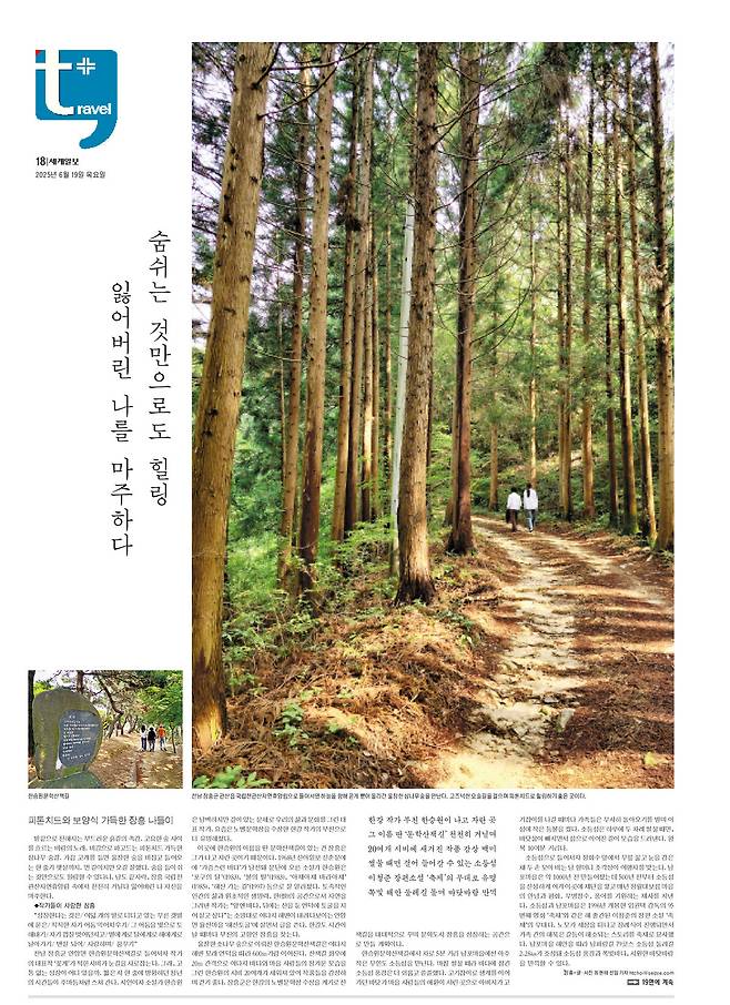 세계일보 여행면. 