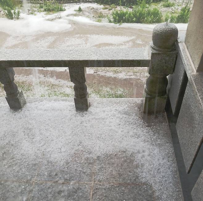 밀양 얼음골 사과 농가에 내린 우박 [독자 제공. 재판매 및 DB 금지]