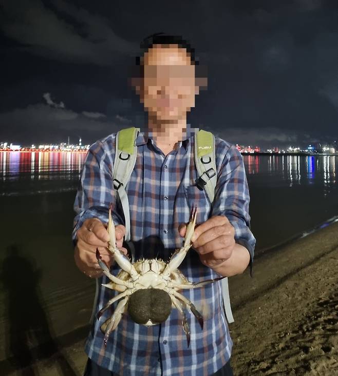 한 독자가 포항 영일대해수욕장에서 꽃게를 잡은 후 지인들에게 설명하고 있다. /독자 제공