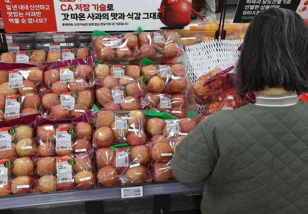 산불, 냉해, 우박 등 이른바 '트리플 재해'가 이어지면서 올해 사과 생산량 감소와 그에 따른 가격 상승이 우려되는 상황인 가운데 쿠팡이 사과 할인 판매에 나선다. 연합뉴스