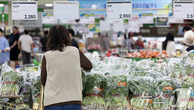 열무, 참외 등 여름 제철 농산물 가격이 줄줄이 오름세를 보이는 가운데 22일 서울 시내의 한 대형 마트에서 시민이 열무를 고르고 있다. 2025.6.22/뉴스1 ⓒ News1 이승배 기자