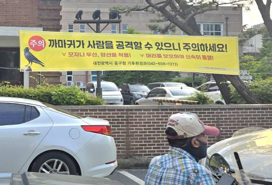 최근 대전 도심 곳곳에 까마귀떼가 출몰하면서 시민들을 위협하는 가운데 18일 대전 대흥동 한 거리에 주의를 당부하는 현수막이 걸려 있다. 이성현 기자