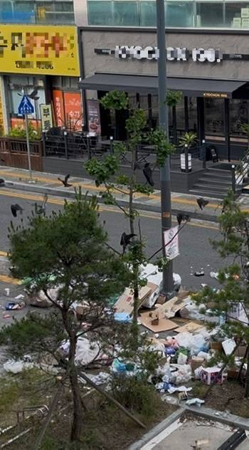 대전 서구 도안동 한 지역 커뮤니티에 올라온 게시글에 첨부된 사진. 종량제 봉투와 음식물 쓰레기, 폐박스가 무단으로 쌓인 곳에 까마귀 수십 마리가 몰려들고 있다. 온라인 커뮤니티 갈무리