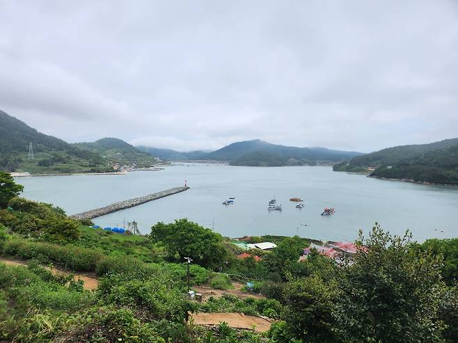 전남 고흥 쑥섬.