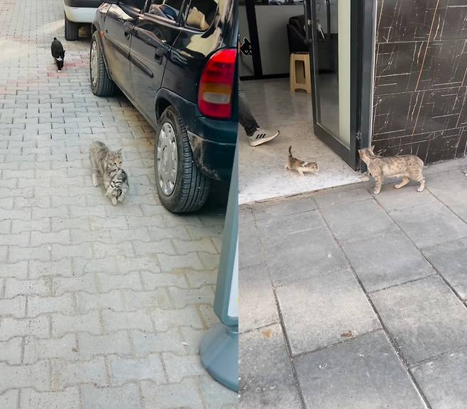 /사진=SNS 갈무리