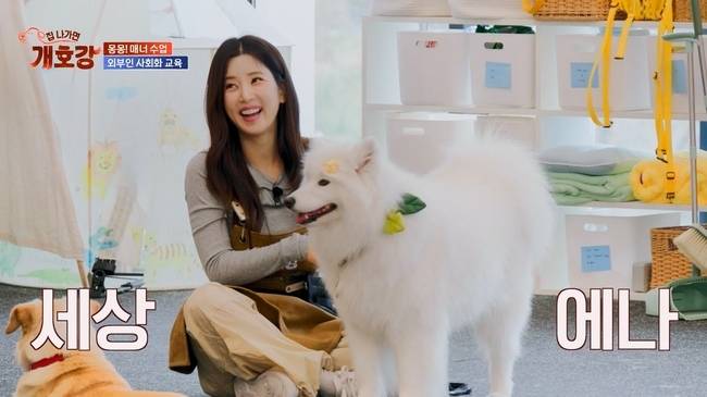 사진=JTBC ‘집 나가면 개호강’