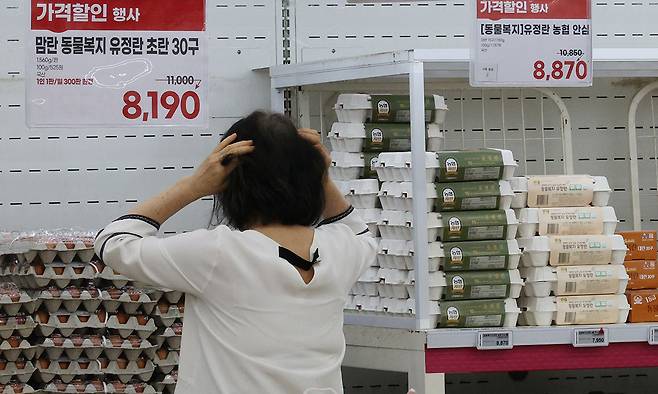 지난 20일 서울 서초구 하나로마트의 계란 판매대 모습. 연합뉴스