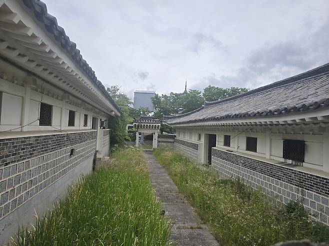 2019년 민간에 팔린 이후 무성한 잡초들이 관광객을 맞이하는 보문 한옥 상가 단지 모습. /황성호 기자