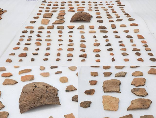 내산리 고분군 일원 정비사업 부지 내 5차 정밀발굴조사에서 출토된 신석기 빗살무늬토기 조가들. 고성군 제공