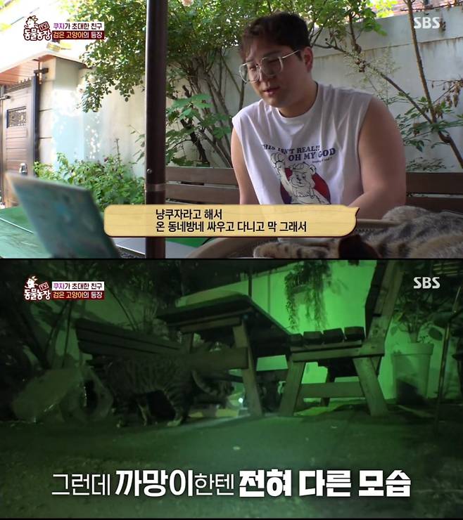 ‘TV동물농장’ 고양이 쿠자의 절규…동시간대 1위 (사진: SBS)