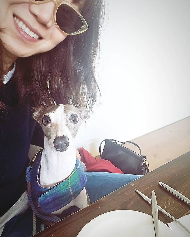 인스타그램 @rovvxhyo