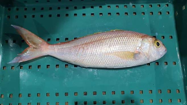 3fb8c32fffd711ab6fb8d38a4780756ad990ba1f3b7fdc83ddeaa2a0c32894d8e175dd013f8a762777eb0a