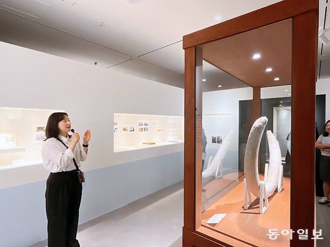 인천시립박물관 직원이 시베리아 대륙에서 수집된 매머드 상아에 대해 설명하고 있다. 이 상아는 일제강점기 당시 일본군이 수집해 인천의 한 창고에 보관하다가, 광복 후 발견돼 박물관으로 옮겨졌다. 인천시립박물관 제공