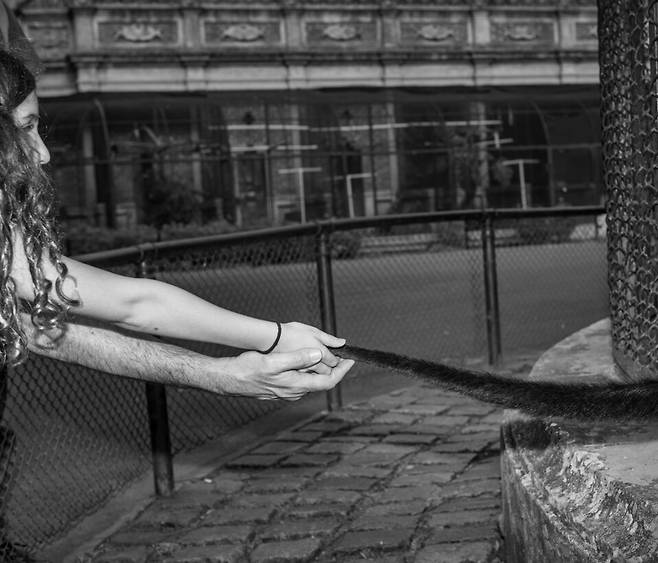 놀라운 모습이었지. 개와 사람이 악수하는 건 많이 봤어. 나도 자주 하니까. 원숭이와 악수하는 모습도 본 적 있지. 그런데 사람과 꼬리로 악수하는 원숭이는 처음이었어. 네가 내민 ‘다섯 번째 손’은 촉촉하더라. 털 대신 사람 손처럼 주름이 있더라. 온기가 느껴졌지. 2012년 아르헨티나 부에노스아이레스 동물원.