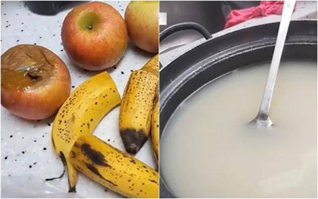 김건희 일가가 운영하는 경기 남양주시의 한 요양원에서 제공된 음식들. 간식으로 나온 과일(왼쪽 사진)은 썩어 문드러졌으며, 식사로 나온 곰탕엔 고기, 파 등 건더기가 하나도 없었다. MBC 캡처