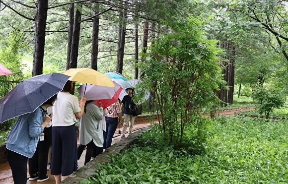 힐링투어 관강객들이 21일 숲 해설가의 안내를 받으며 유전자보존원을 걷고 있다. [사진=윤재원 기자]