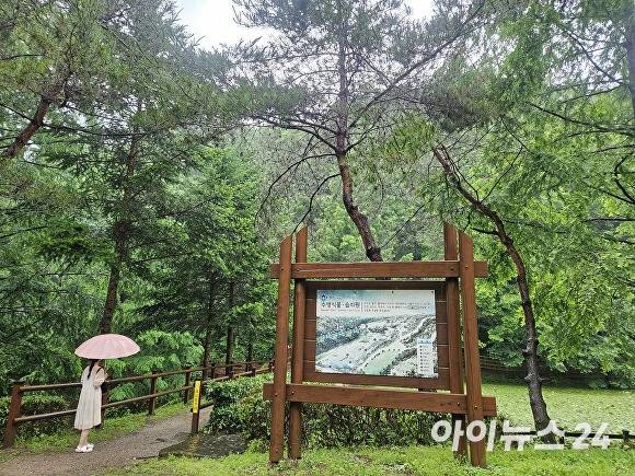 미동산수목원 수생식물·습지원. [사진=장예린 기자]