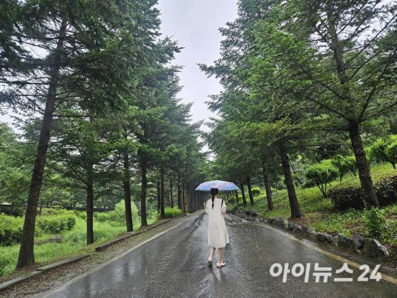 미동산수목원 숲길. [사진=장예린 기자]