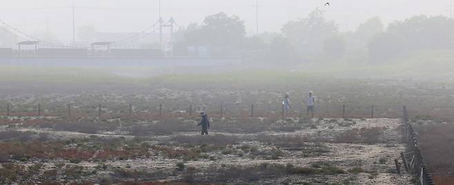 [인천=뉴시스] 전진환 기자 = 전국 내륙과 서해안 등을 중심으로 안개가 낀 23일 오전 인천 남동구 소래생태습지공원에서 시민들이 산책을 하고 있다. 2025.06.23. amin2@newsis.com