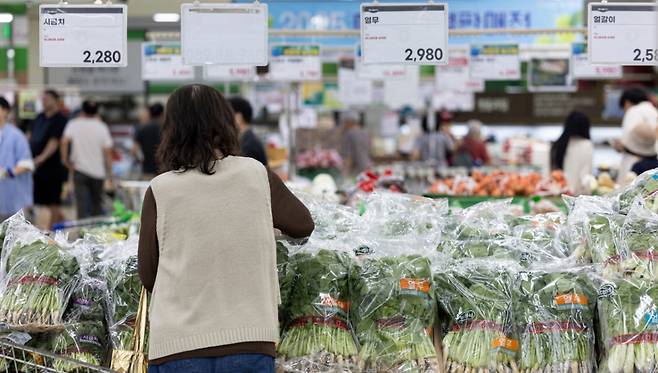 여름 제철 농산물 가격이 줄줄이 오름세를 보이고 있다. 사진은 지난 22일 서울 한 대형마트에서 시민들이 장을 보는 모습./사진=뉴스1