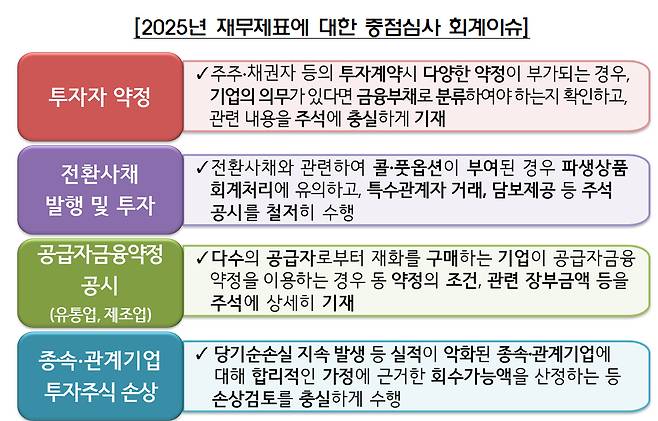 2025년 재무제표에 대한 중점심사 회계이슈 /사진=금융감독원