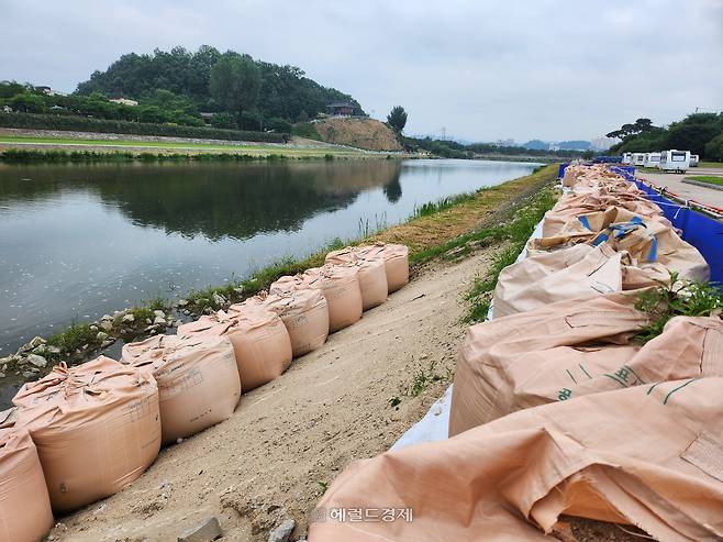 영주시가 서천 영주교 하류에 스윙교 설치를 추진하다 중단되면서 주변에 장기간 방치된 수십 개의 벌크마대가 쌓여 있다 [사진=김성권 기자]