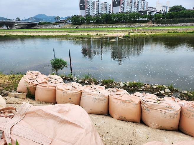 스윙교 설치예정인 서천 영주교 하류에 철재 가교마저 철거돼 산책나온 주민들이 불편해 하고 있다[사진=김성권 기자]