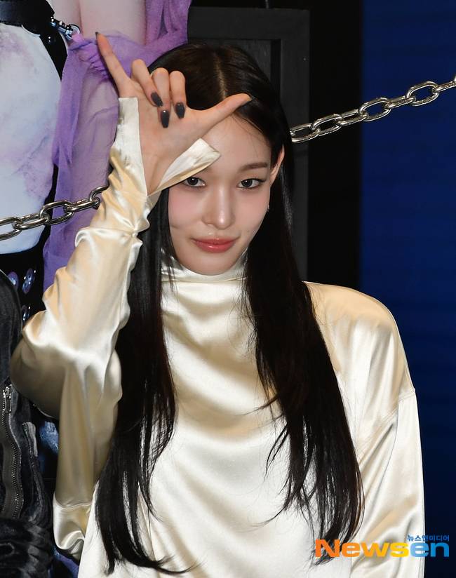애니