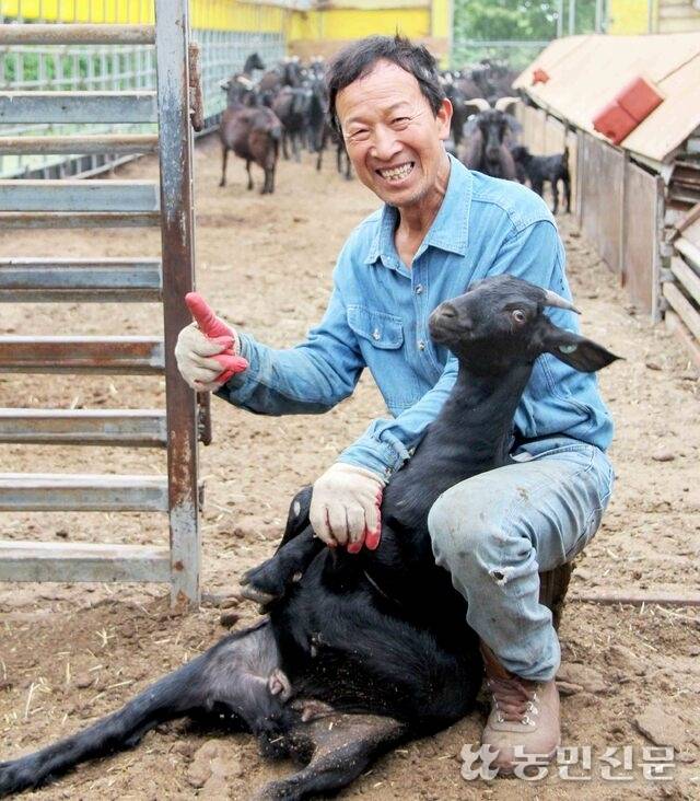 염소농가 가운데 국내 1호로 염소 개체 등록을 마친 김영화 전북 순창 산내들흑염소 대표.