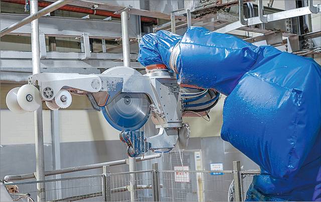 돼지 이분도체용 도축 로봇. 로보스