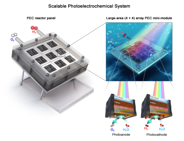 고효율 무배선 인공나뭇잎 기반 태양광 수소 생산 시스템. 연구그림=UNIST
