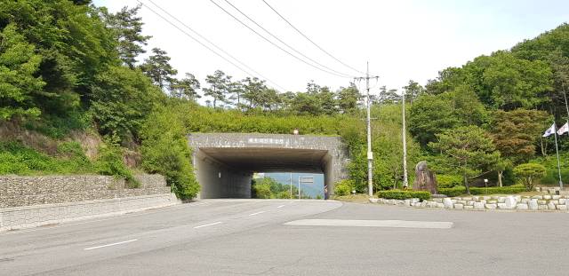 백두대간 생태축 복원사업이 펼쳐진 전북 장수군 육십령. 사진제공=산림청