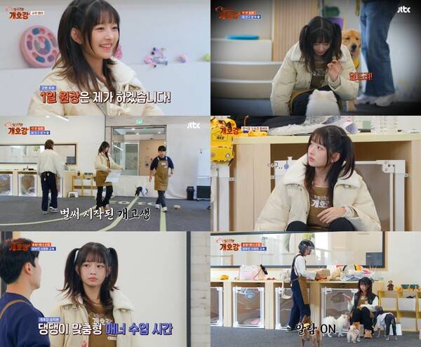 ▲ 22일 방송된 JTBC '집 나가면 개호강'에서 활약한 아이브 레이. 방송화면 캡처