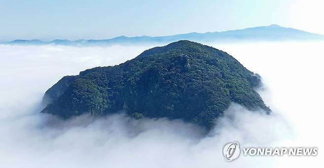 산방산 삼킨 바다 안개 (서귀포=연합뉴스) 박지호 기자 = 18일 오전 제주 서귀포시 안덕면 산방산 아래로 짙은 바다 안개가 끼어 한라산과 함께 장관을 만들어 내고 있다. 2025.6.18 jihopark@yna.co.kr