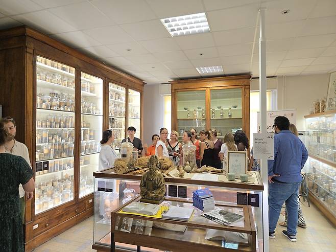 몽펠리에 의약박물관 내 한국 한약 섹션