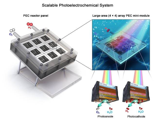연구 그림 고효율 무배선 인공나뭇잎 기반 태양광 수소 생산 시스템. [울산과학기술원 제공. 재판매 및 DB 금지]